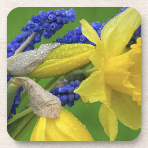 Dessous-de-verre Détail des fleurs de jonquille et de jacinthe. Cré