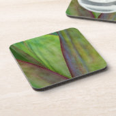 Dessous-de-verre Détail du Plante Agave (Côté gauche)