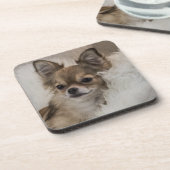 Dessous-de-verre Détente du Chihuahua gâté (Côté gauche)