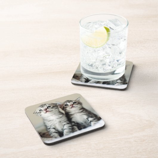 Dessous-de-verre Deux chatons mignons (Côté Droit)