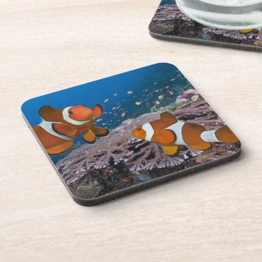 Dessous-de-verre Deux Clownfish (Côté gauche)