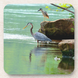 Dessous-de-verre Deux hérons au bord de la rivière
