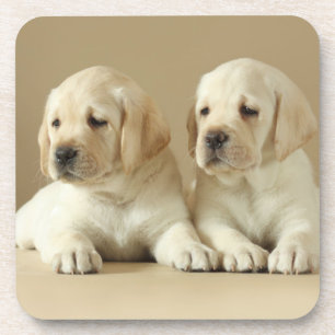 Dessous-de-verre Deux Marionnettes Golden Labrador