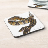 Dessous-de-verre Deux ont dirigé le python royal ou le python de (Côté gauche)