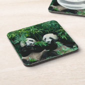 Dessous-de-verre Deux pandas mangeant du bambou ensemble, Wolong (Côté gauche)