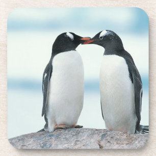 Dessous-de-verre Deux pingouins touchant des becs