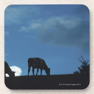 Dessous-de-verre Deux vaches en silhouette frôlant sur le flanc de
