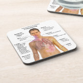 Dessous-de-verre Diagramme des symptômes de la pneumonie (Côté gauche)