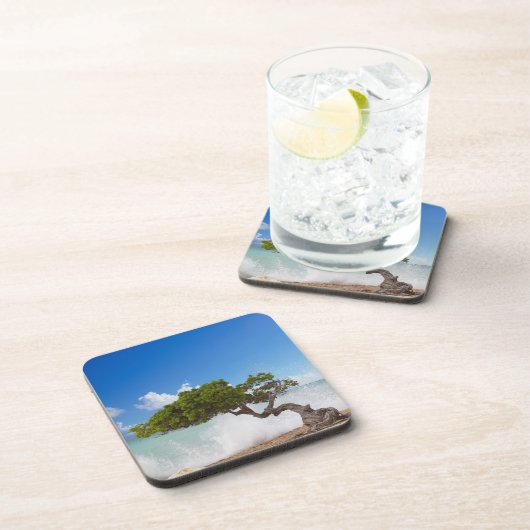 Dessous-de-verre Divi Divi Divi Tree, Eagle Beach, Aruba, Caraïbes (Côté Droit)