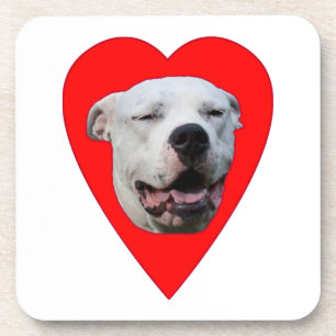 Dessous-de-verre Dogo Argentino souriant