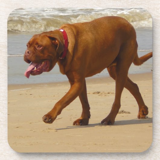 Dessous-de-verre dogue de bordeaux (Devant)