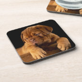 Dessous-de-verre Dogue de Bordeaux - Chien chiot français (Côté gauche)