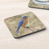 Dessous de verre d'oiseau bleu (Côté gauche)