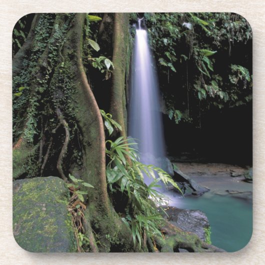 Dessous-de-verre Dominique, Emerald Pool, Cascade. (Devant)