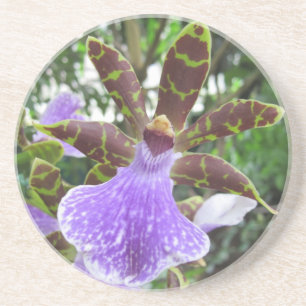 Dessous de verre d'orchidée de Zygopetalum