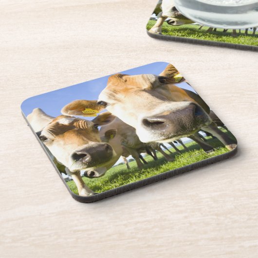 Dessous-de-verre Dorset, R-U (Côté gauche)