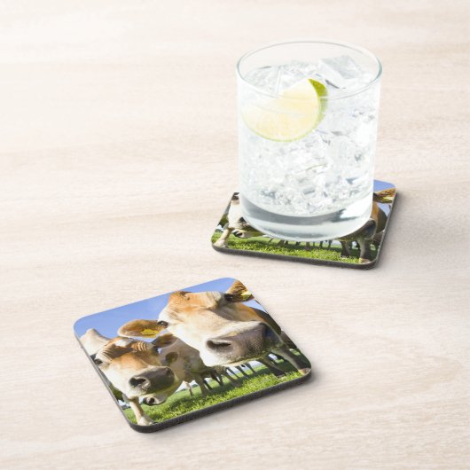 Dessous-de-verre Dorset, R-U (Côté Droit)