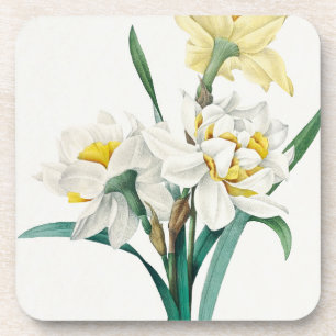 Dessous-de-verre Double Daffodil, Pierre-Joseph Redouté, 1827