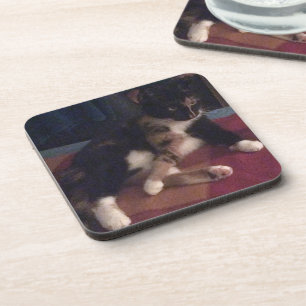 Dessous-de-verre Douces Pattes de Chat