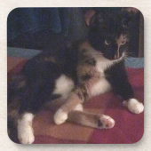 Dessous-de-verre Douces Pattes de Chat (Devant)