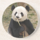 Dessous de verre d'ours panda (Devant)