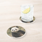 Dessous de verre d'ours panda (Côté)