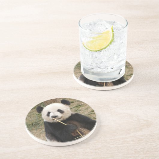 Dessous de verre d'ours panda (Côté)
