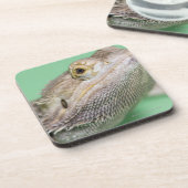 Dessous-de-verre Dragon barbu 2 (Côté gauche)