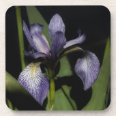 Dessous-de-verre Drapeau bleu Iris Fleur (Devant)