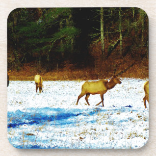 DESSOUS-DE-VERRE DSC00131.JPG