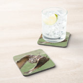 Dessous-de-verre Duc En vol (Côté Droit)