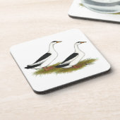 Dessous-de-verre Ducks : Black Magpies (Côté gauche)
