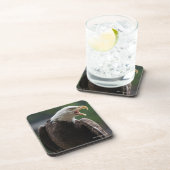 Dessous-de-verre Eagle chauve appelle (Côté Droit)