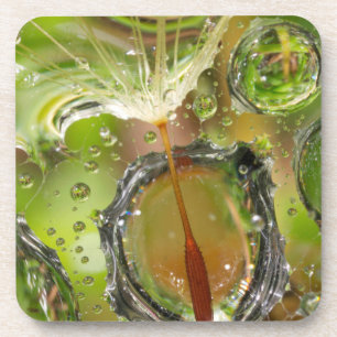 Dessous-de-verre Eau sur les graines de dandelion, CA