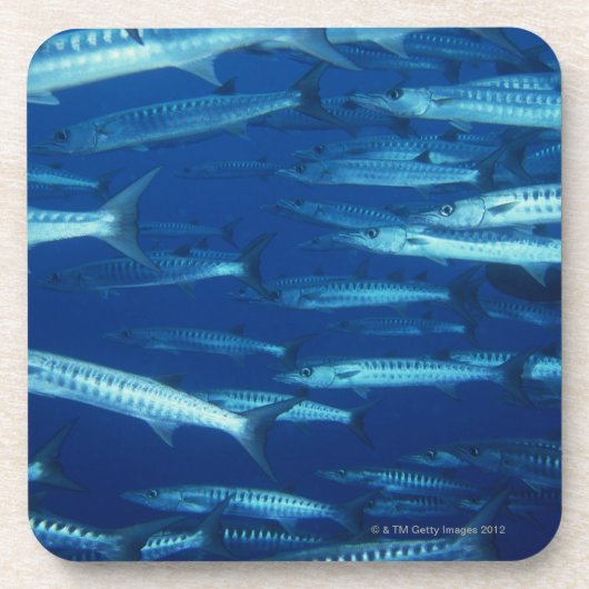 Dessous-de-verre École des poissons 9 (Devant)