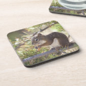 Dessous-de-verre Écureuil mangeant un cône 2 de pin (Côté gauche)
