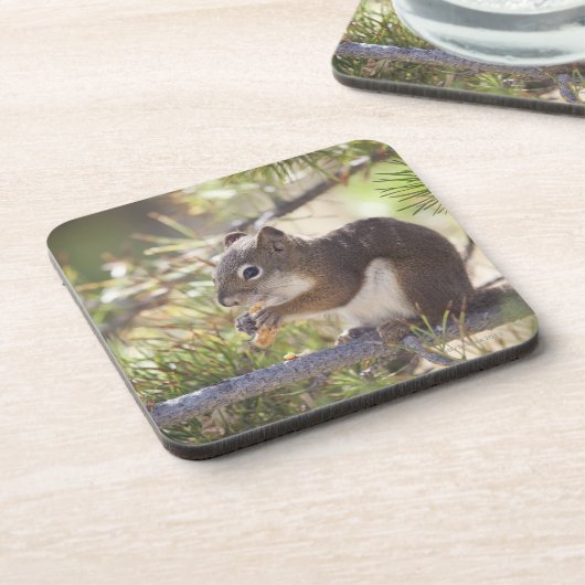 Dessous-de-verre Écureuil mangeant un cône 2 de pin (Côté gauche)