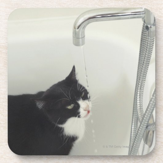 Dessous-de-verre Égoutture d'eau potable de chat d'un robinet (Devant)
