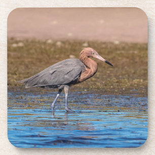 Dessous-de-verre Egret rouge sur North Beach