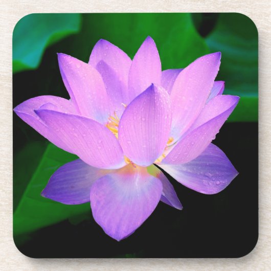 Dessous-de-verre Elegant Lotus Flower (Devant)