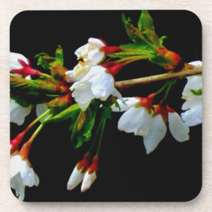 Dessous-de-verre Élégant noir blanc fleuri blanc Blossom