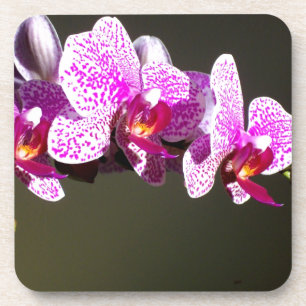 Dessous-de-verre Élégante orchidée rose fleurie tropicale