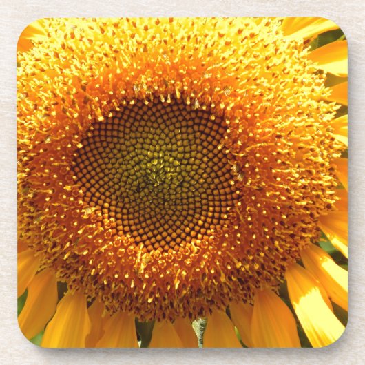 Dessous-de-verre Elégante photo de tournesol (Devant)