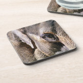 DESSOUS-DE-VERRE ÉLÉPHANT (Côté gauche)