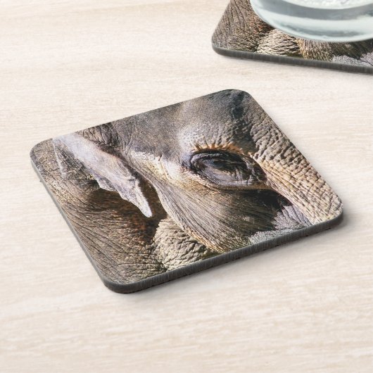 DESSOUS-DE-VERRE ÉLÉPHANT (Côté gauche)