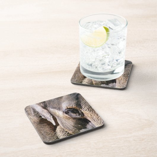 DESSOUS-DE-VERRE ÉLÉPHANT (Côté Droit)