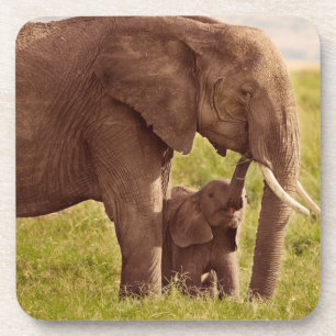 Dessous-de-verre Éléphant et bébé des images de Getty
