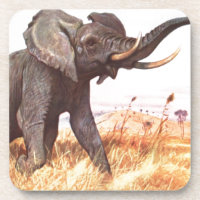 Éléphants africains d'animaux de destin de jungle