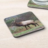 Dessous de verre Elk (Côté gauche)