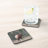 Dessous-de-verre Elk de montagne Rocky (Côté Droit)